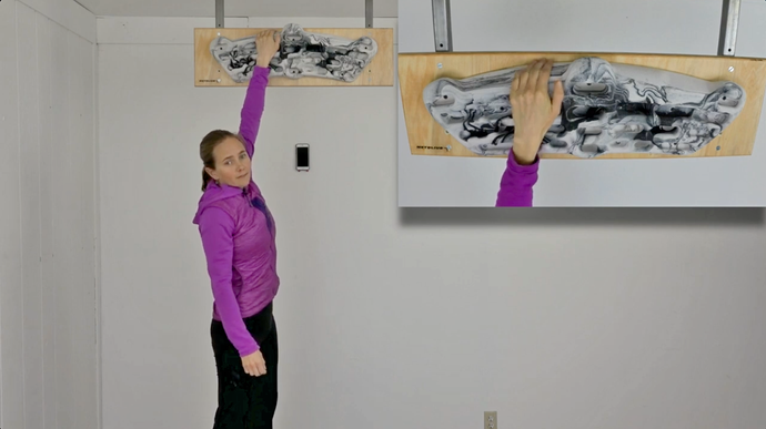 Training Board Basics for Beginners