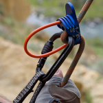 Photo of Element II Screw Lock Carabiner - Belaying